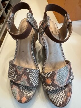 Luca lane, python wedges, 8.5